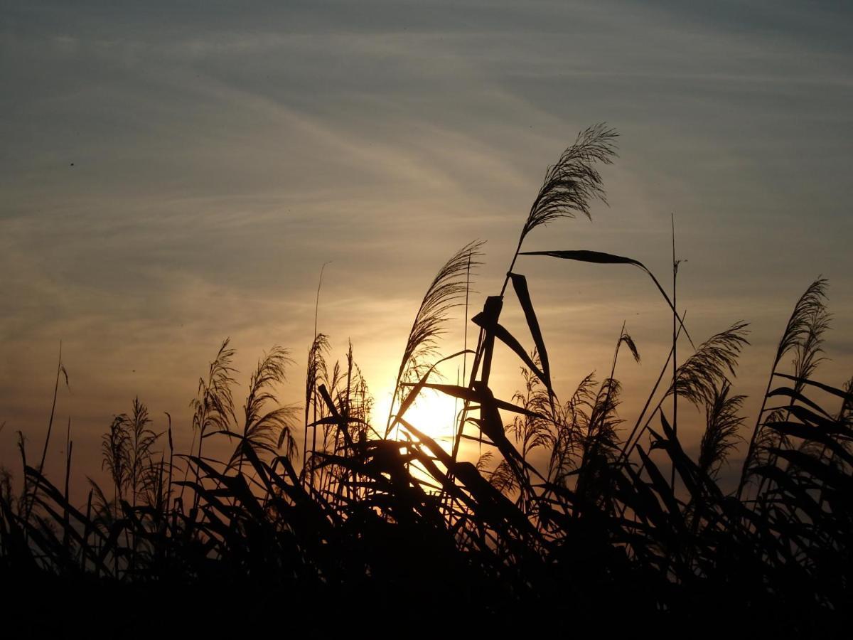 Krakowskie Mazury Gradzkie  ภายนอก รูปภาพ
