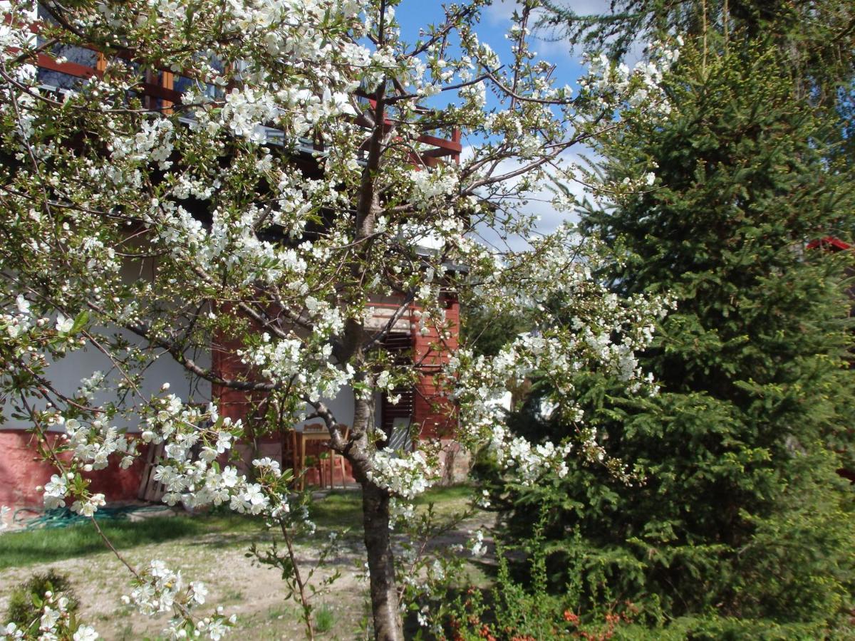 Krakowskie Mazury Gradzkie  ภายนอก รูปภาพ